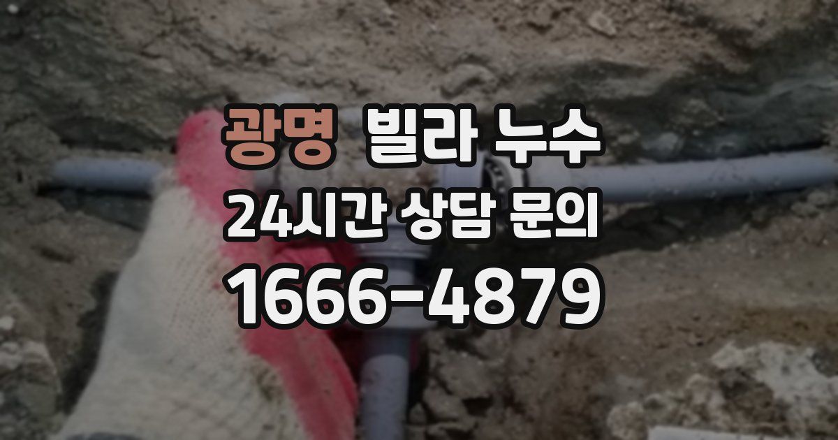 광명 빌라 누수