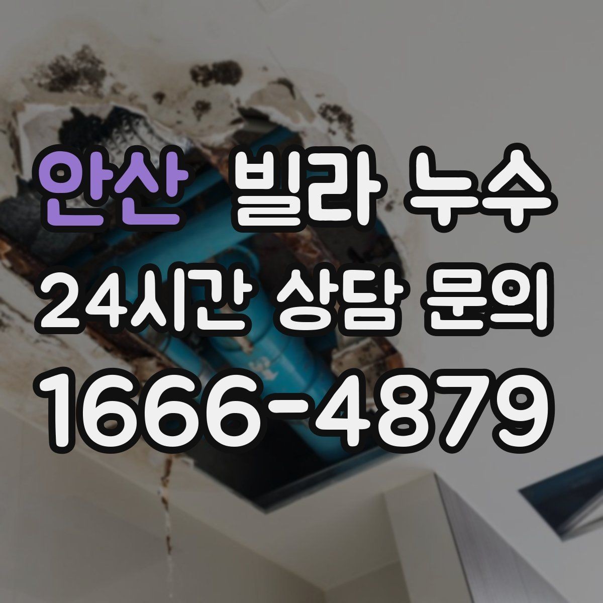 안산 빌라 누수 욕실 타일 사이 물스밈이 늘었다면