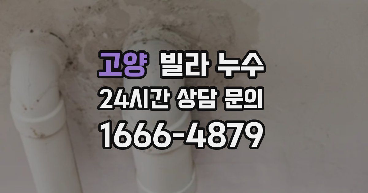 고양 빌라 누수