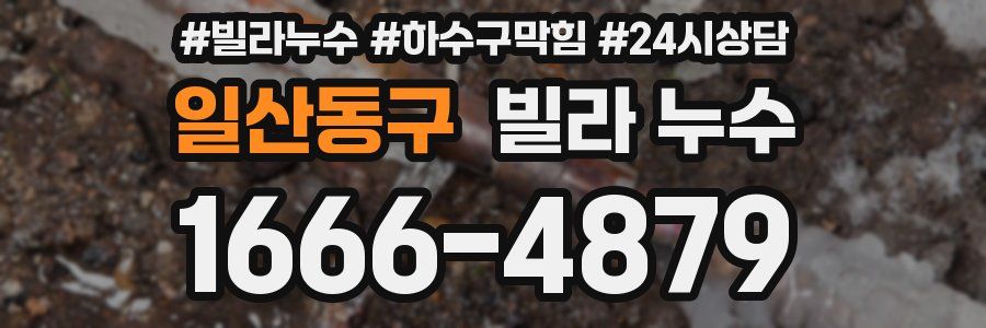 일산동구 빌라 누수