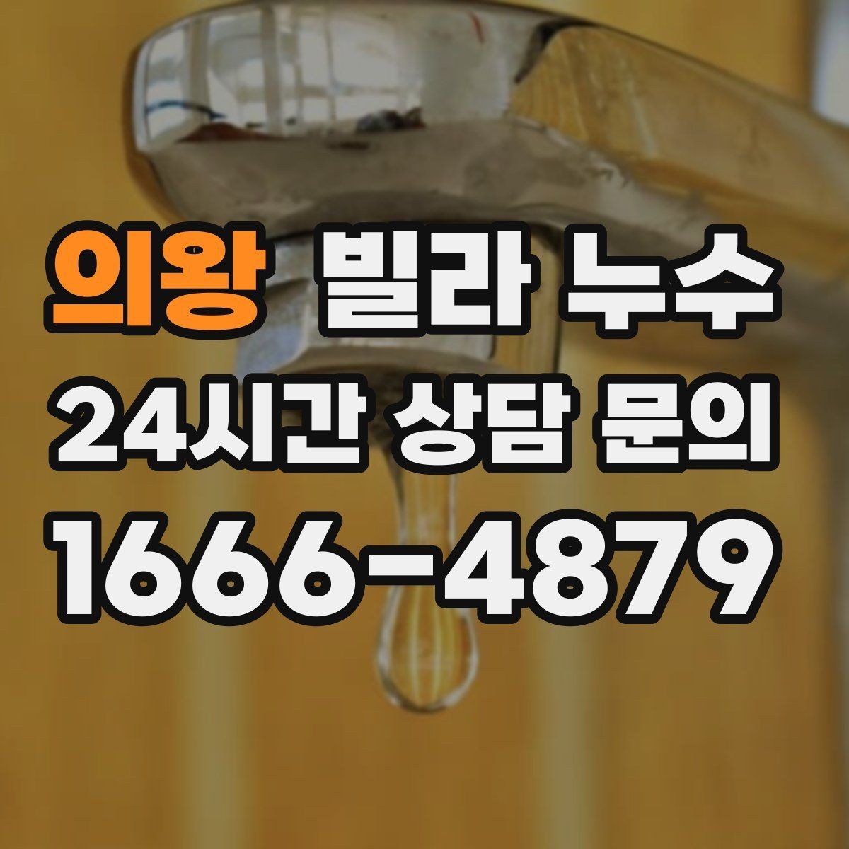 의왕 빌라 누수 누수 해결 후 곰팡이가 남지 않게 하는 방법