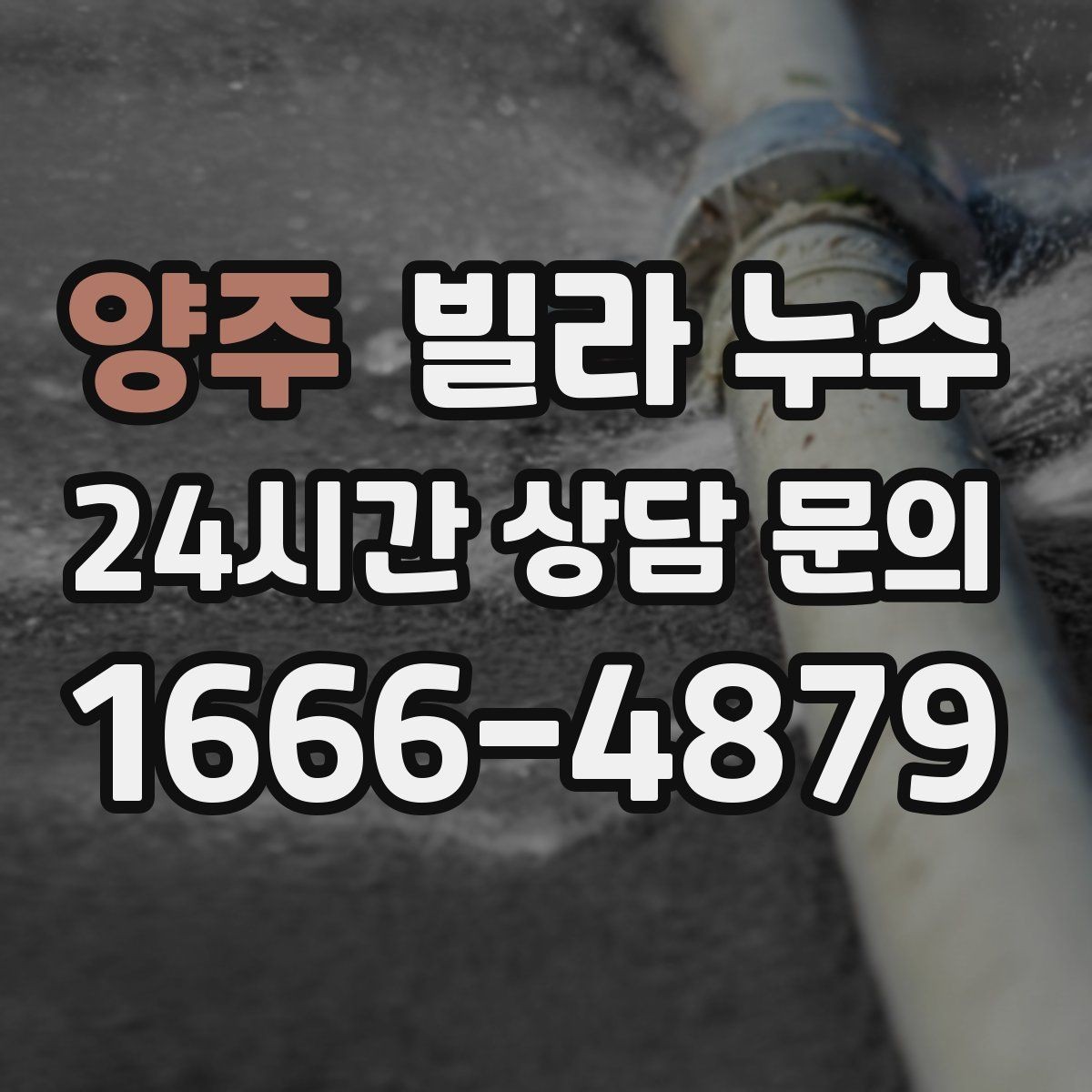 양주 빌라 누수 욕실 타일 사이 물스밈이 늘었다면