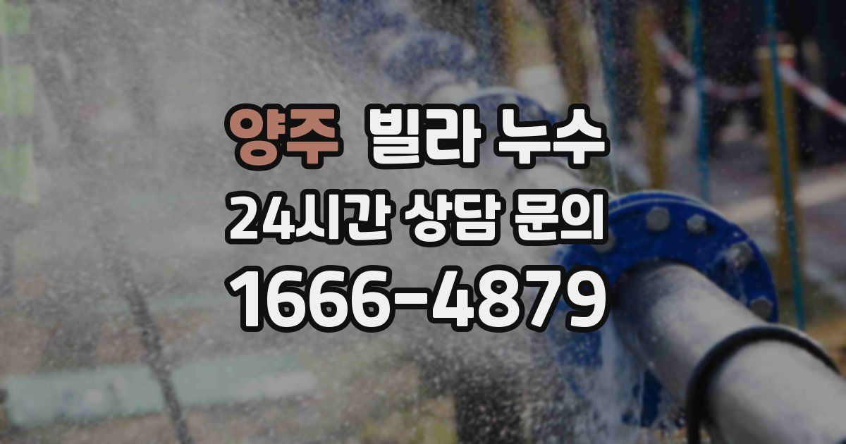 양주 빌라 누수