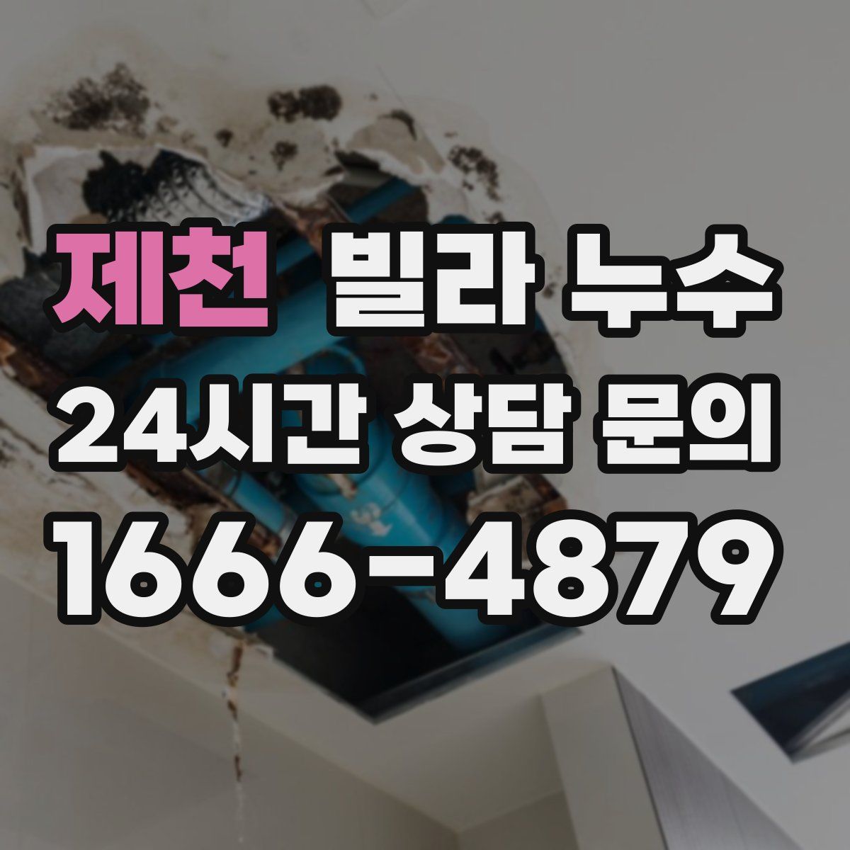 제천 빌라 누수