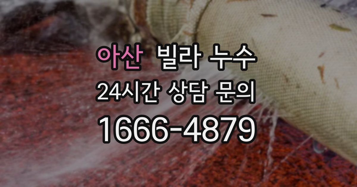 아산 빌라 누수