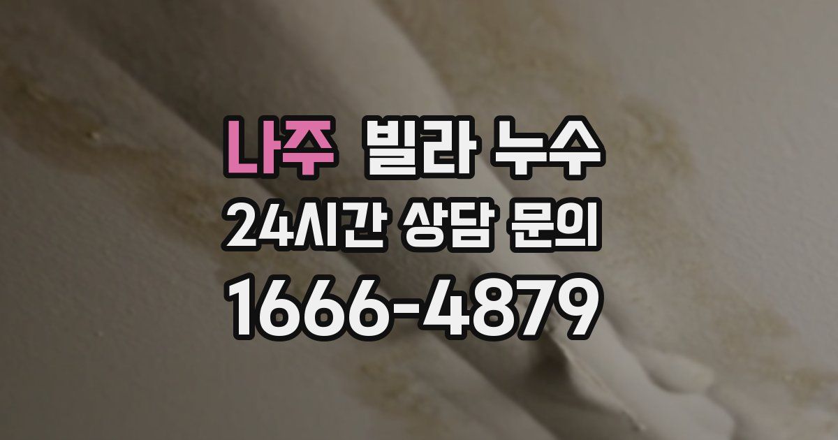 나주 빌라 누수