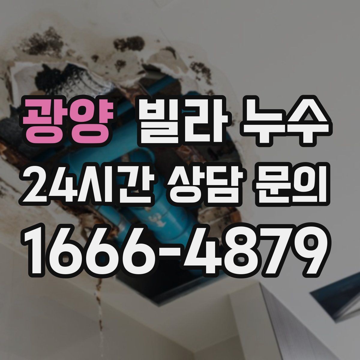 광양 빌라 누수 곰팡이가 번지기 전에 점검해야 합니다