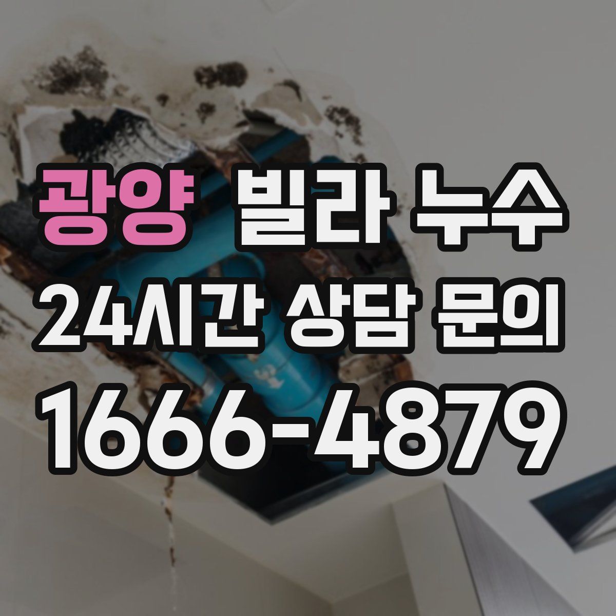 광양 빌라 누수