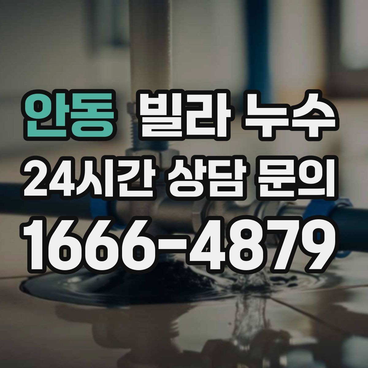 안동 빌라 누수 빗물 유입과 배관 누수 구분이 어려울 때
