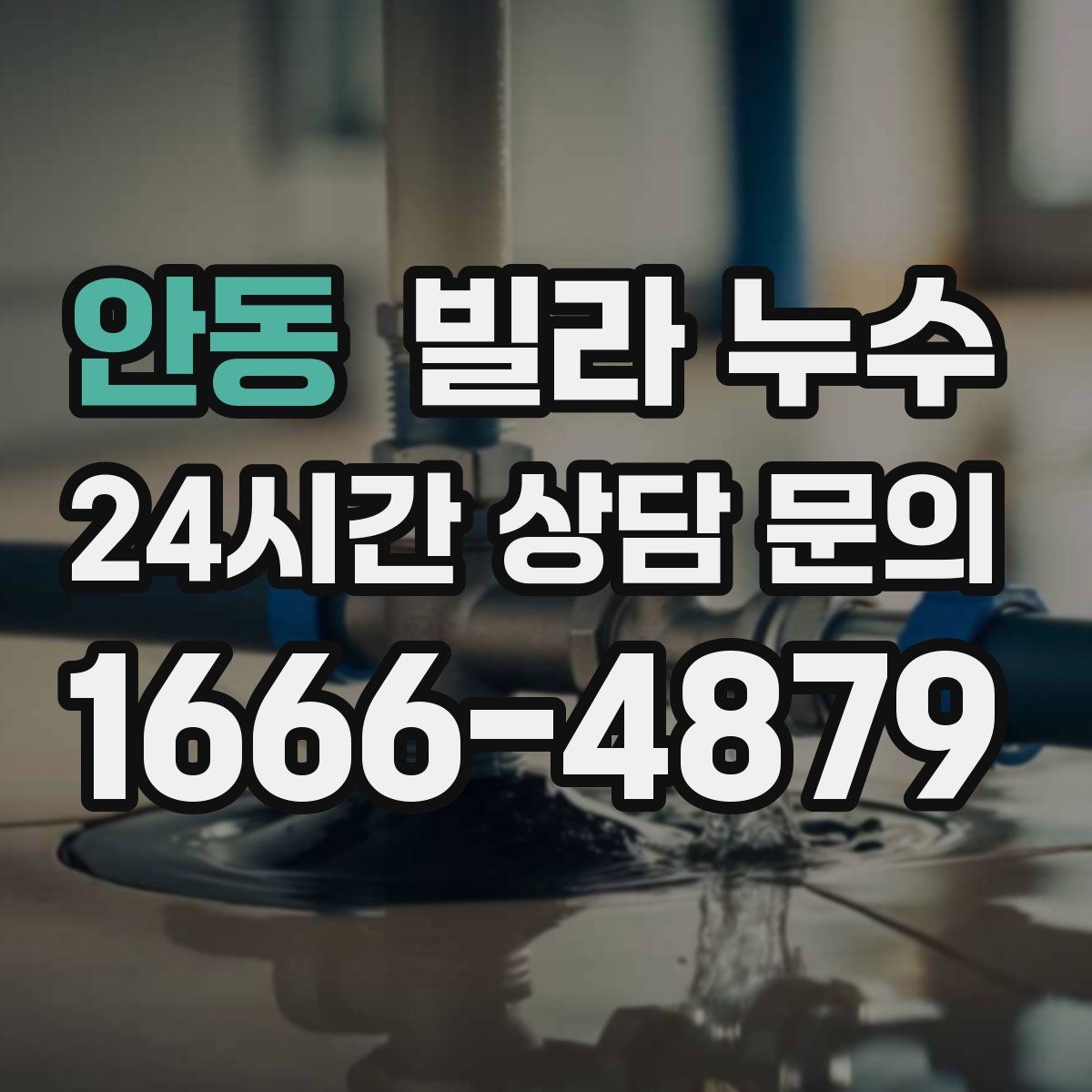 안동 빌라 누수