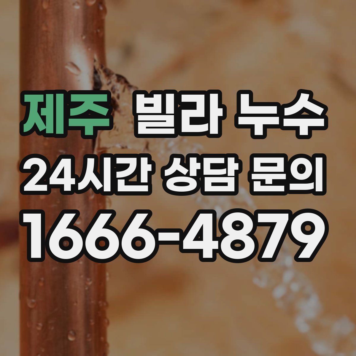 제주 빌라 누수