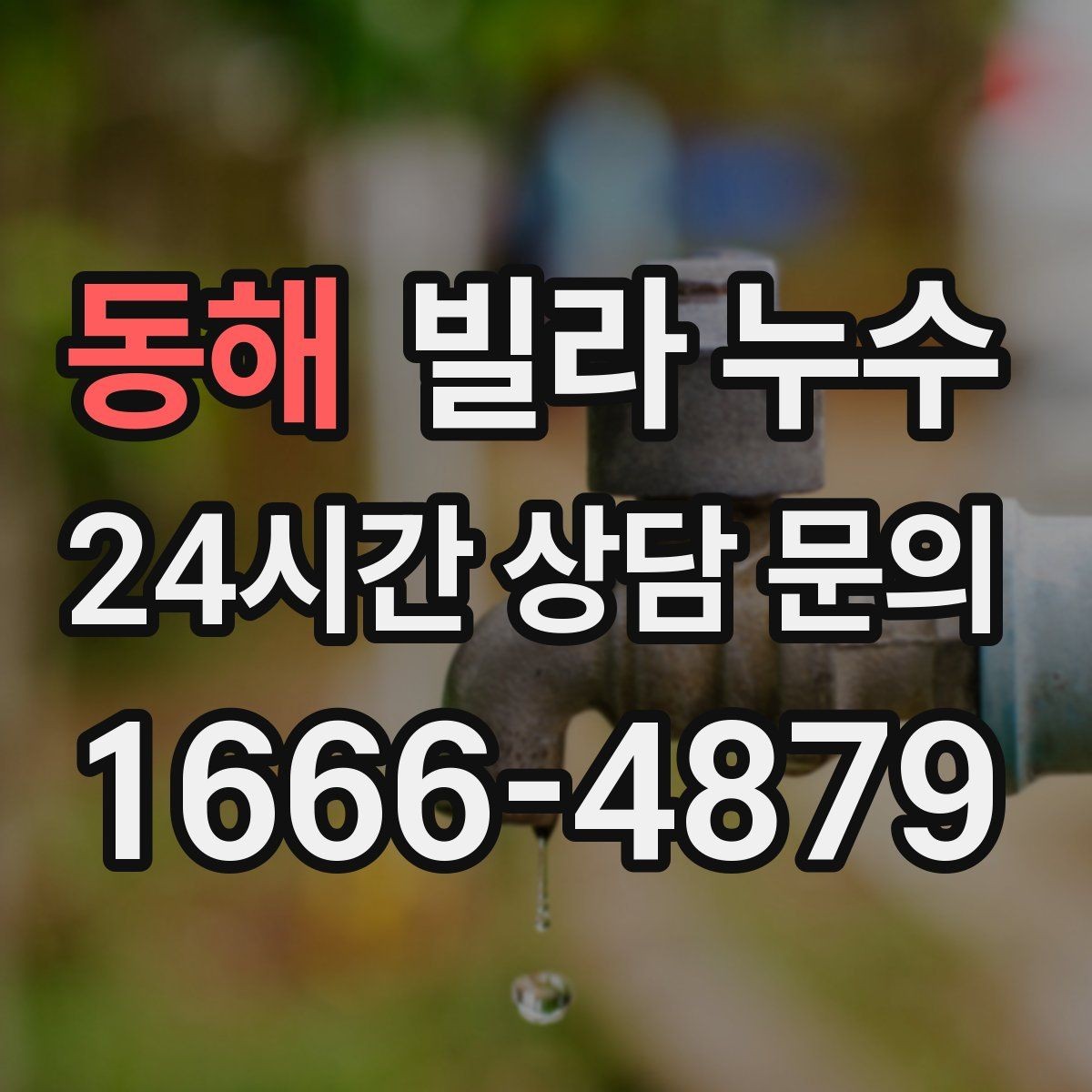 동해 빌라 누수 천장 주변에서 퀴퀴한 냄새가 올라올 때