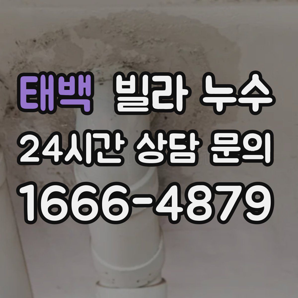 태백 빌라 누수