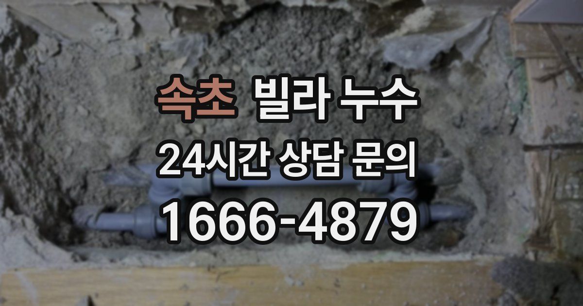 속초 빌라 누수