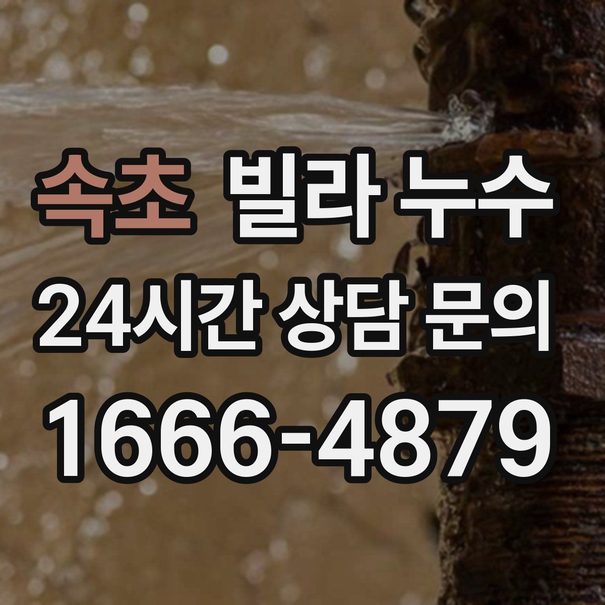 속초 빌라 누수