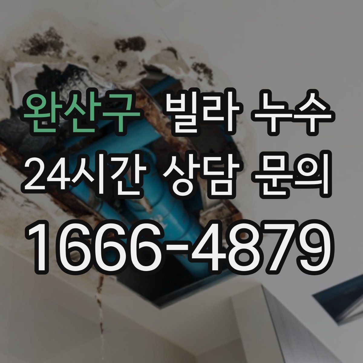 완산구 빌라 누수 계단실 천장에 얼룩이 생길 때 원인 정리
