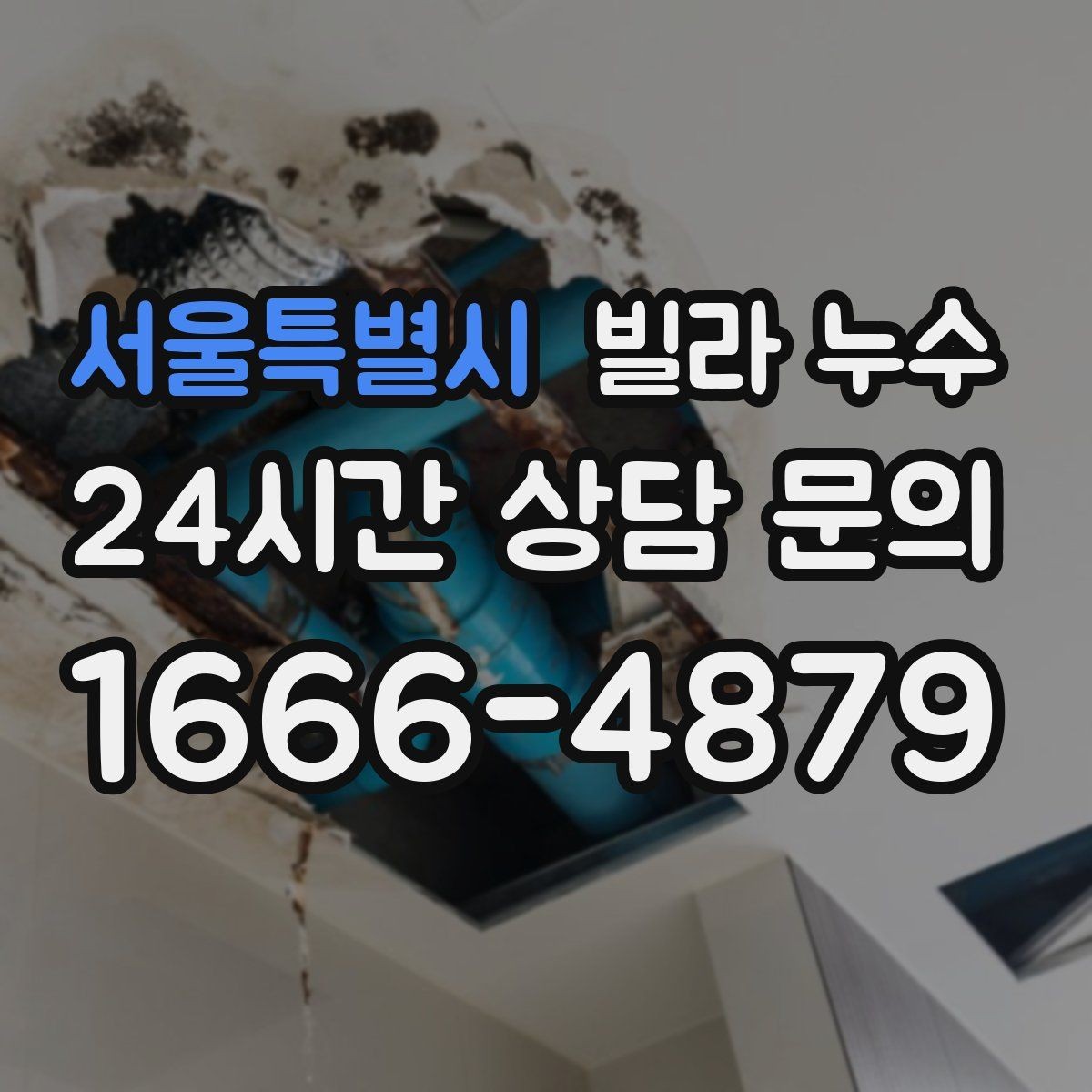 서울특별시 빌라 누수 물이 떨어지는 곳과 원인 지점이 다른 이유