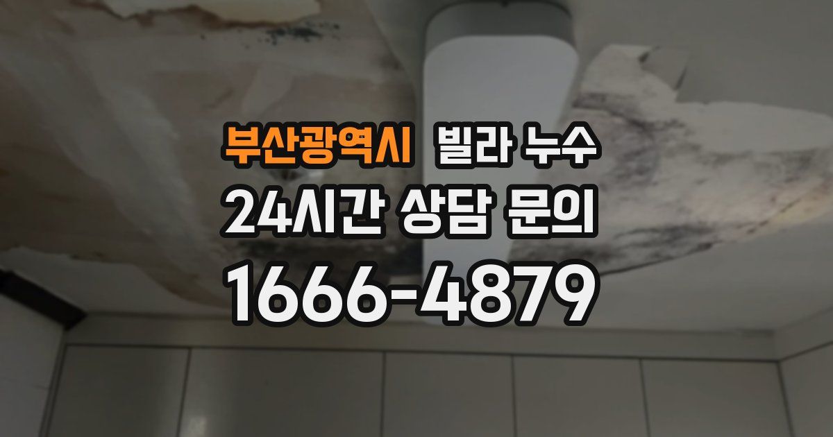 부산광역시 빌라 누수