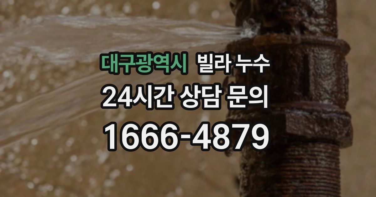 대구광역시 빌라 누수