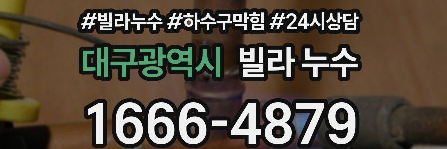 대구광역시 빌라 누수