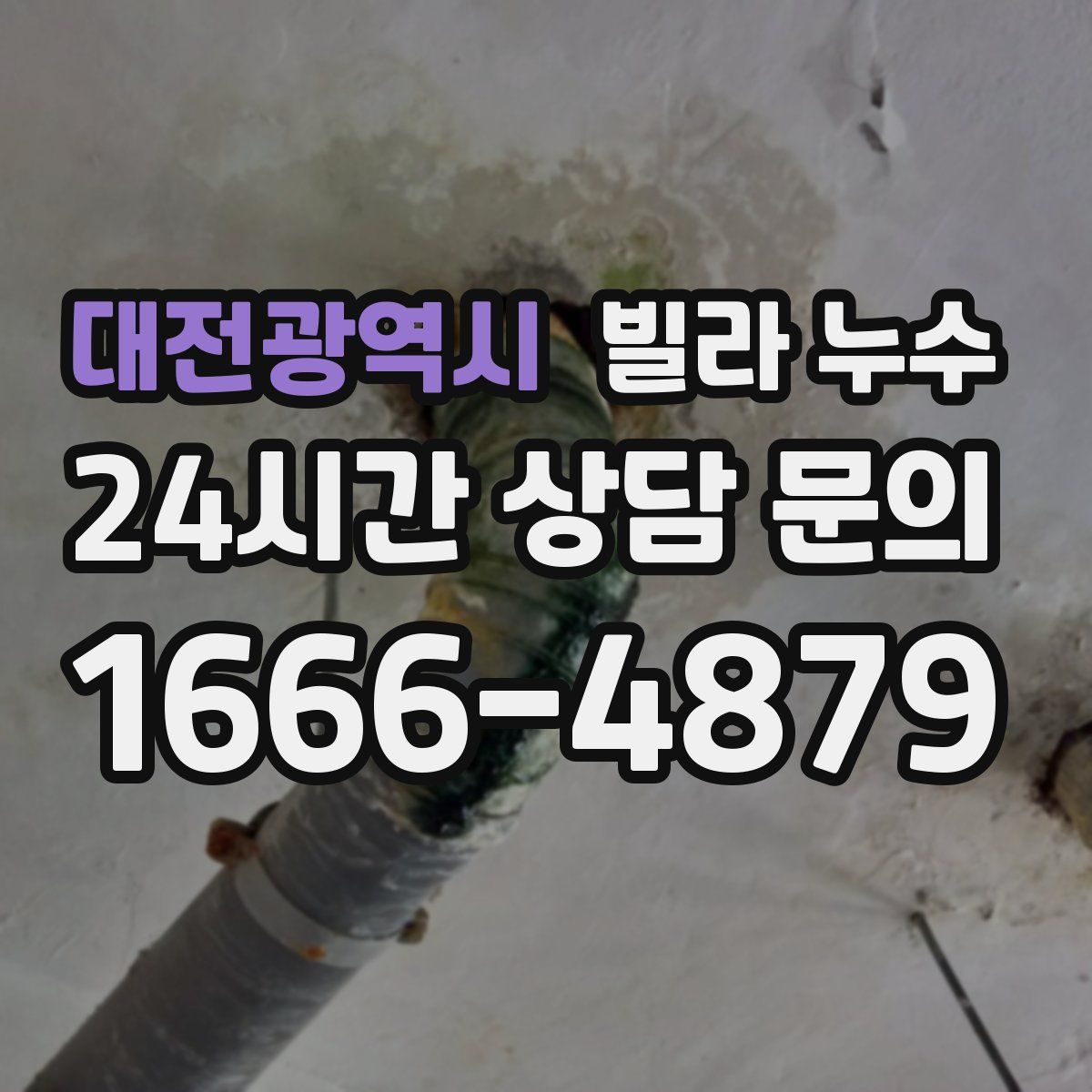 대전광역시 빌라 누수