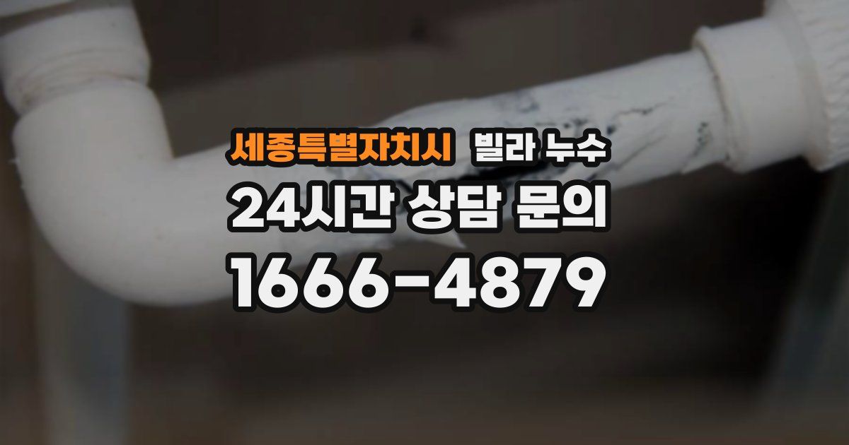 세종특별자치시 빌라 누수