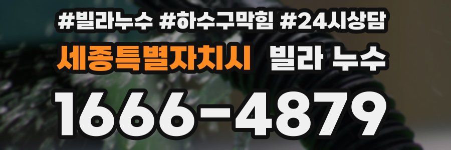 세종특별자치시 빌라 누수