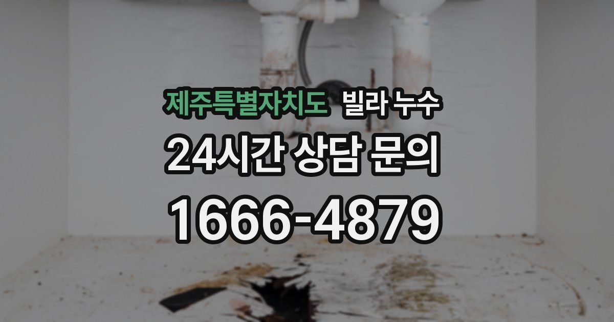 제주특별자치도 빌라 누수