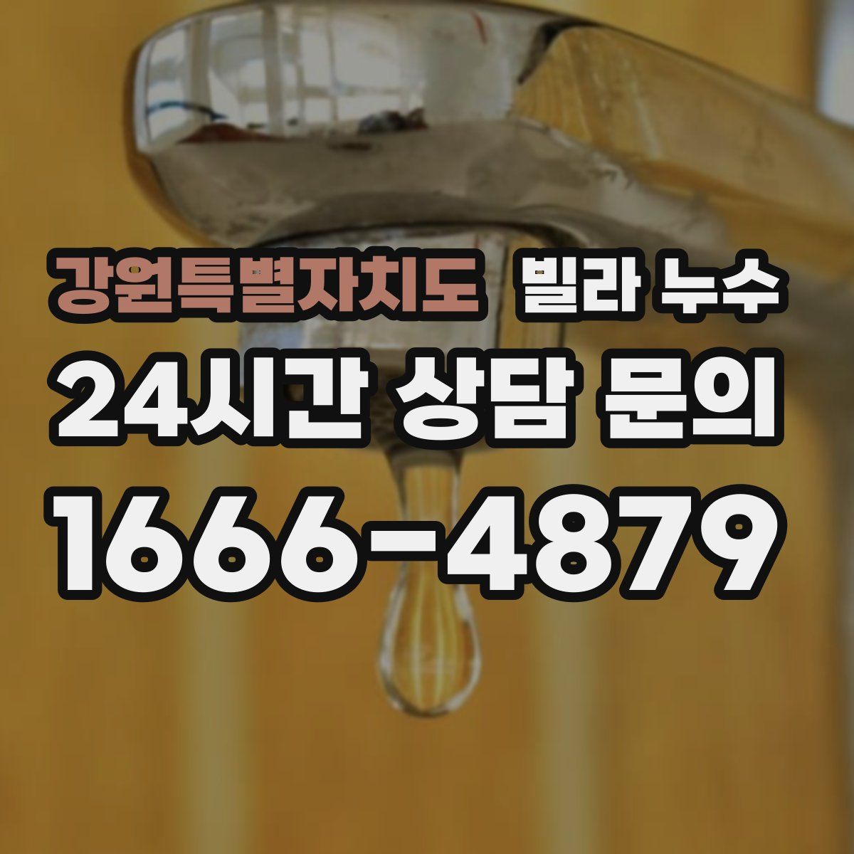 강원특별자치도 빌라 누수