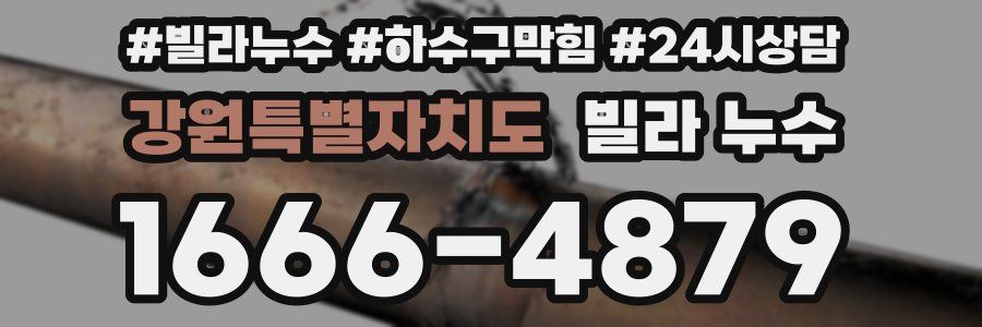 강원특별자치도 빌라 누수