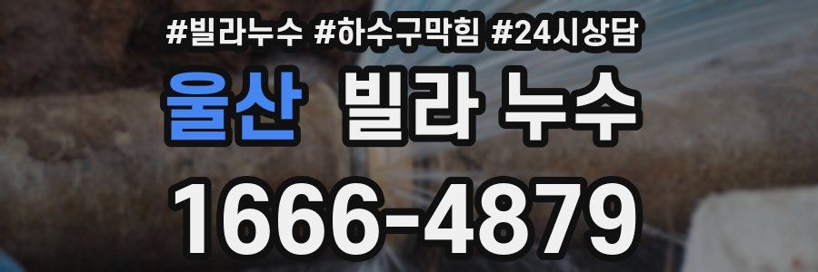 울산 빌라 누수