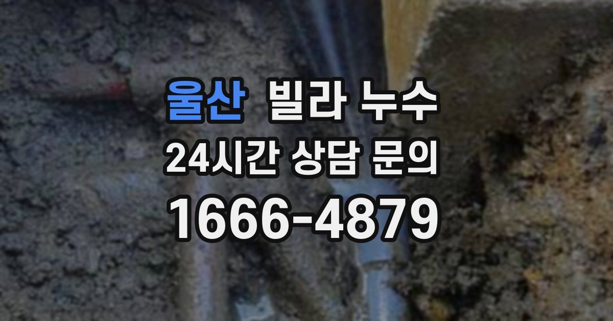 울산 빌라 누수