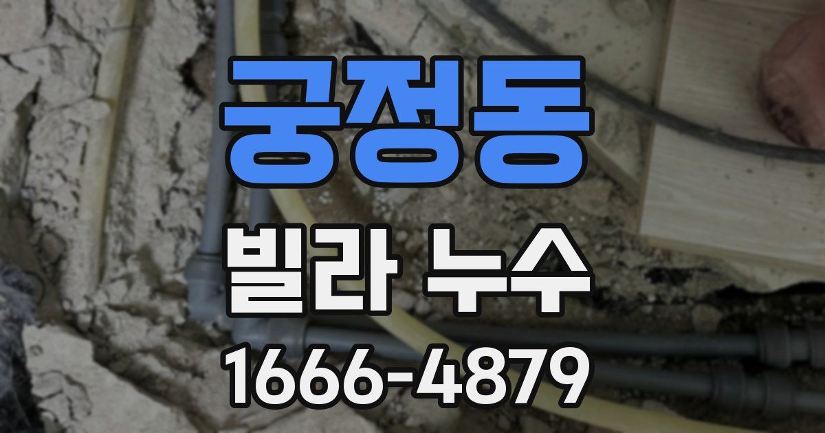 궁정동 빌라 누수