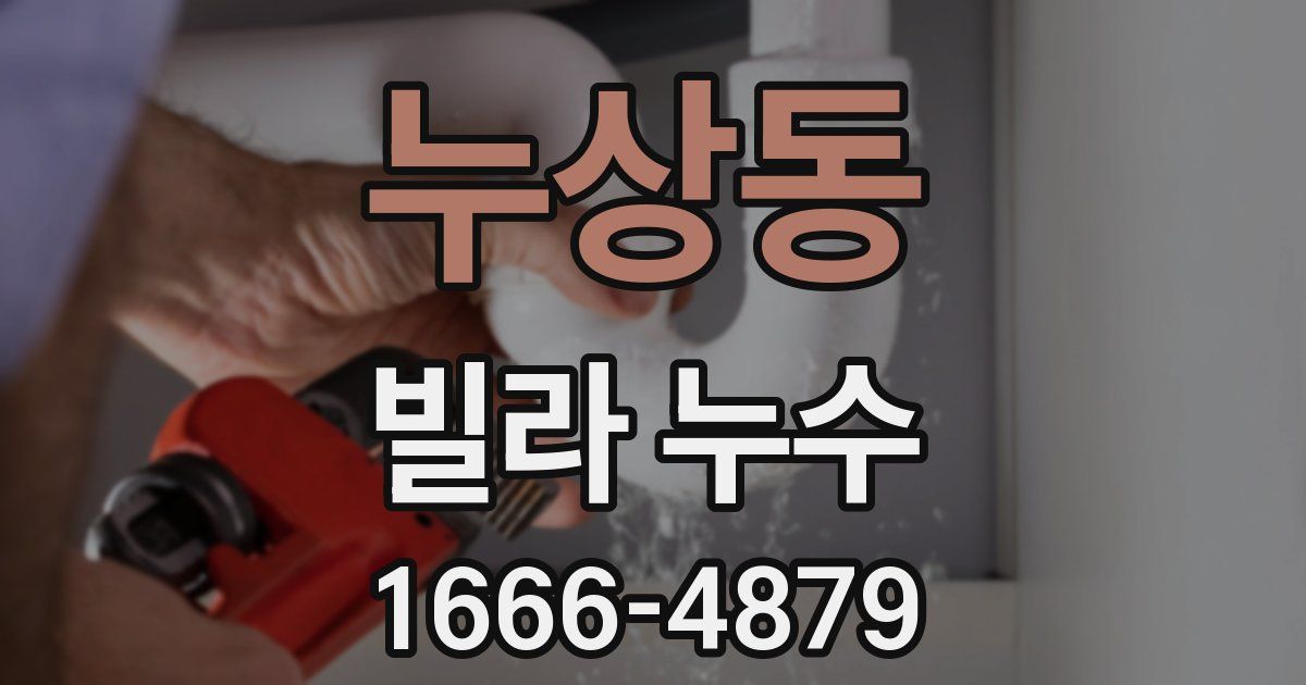 누상동 빌라 누수