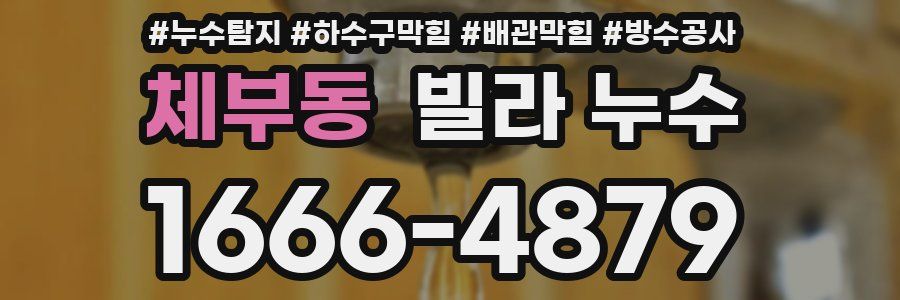 체부동 빌라 누수