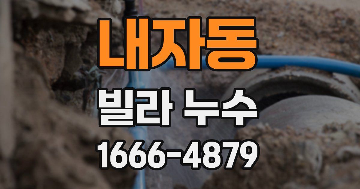 내자동 빌라 누수