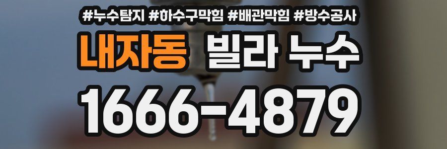 내자동 빌라 누수