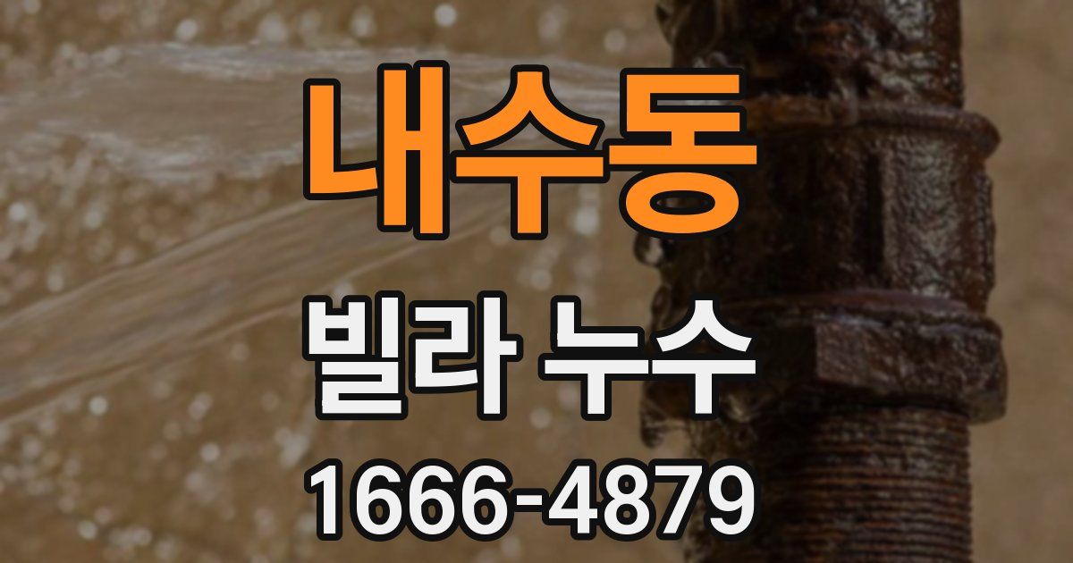 내수동 빌라 누수