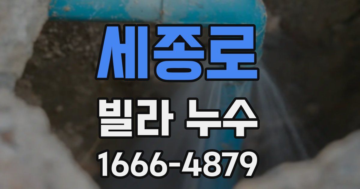 세종로 빌라 누수