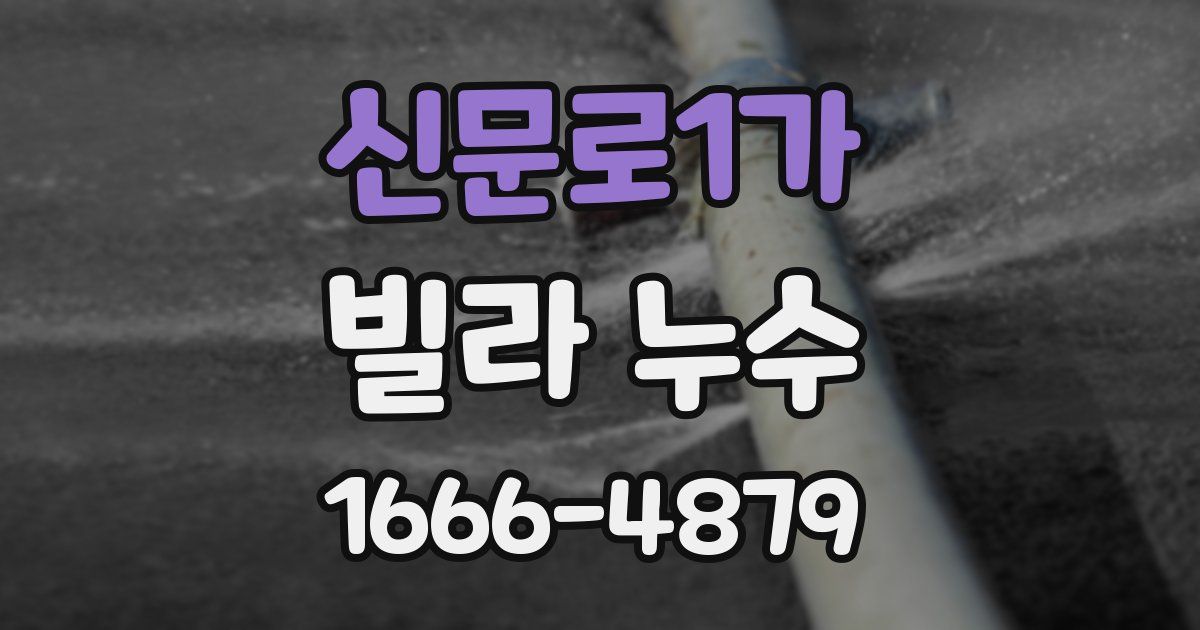신문로1가 빌라 누수