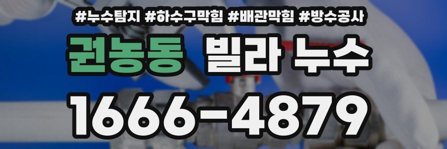 권농동 빌라 누수