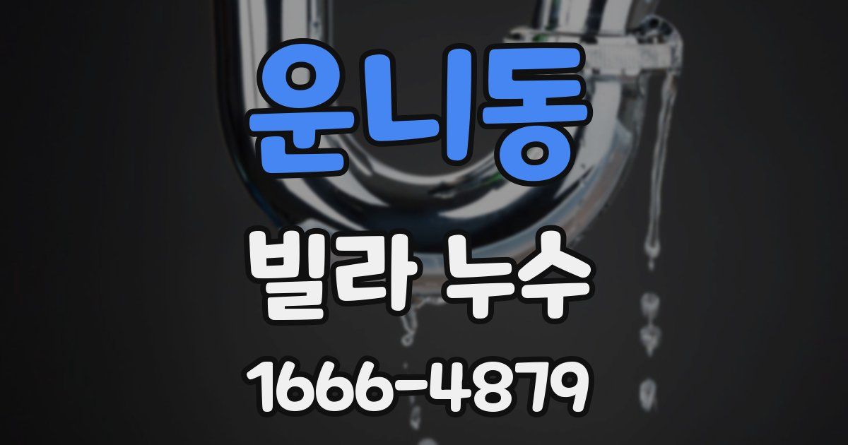 운니동 빌라 누수