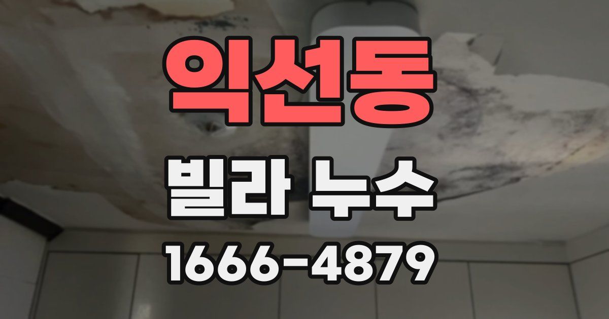 익선동 빌라 누수