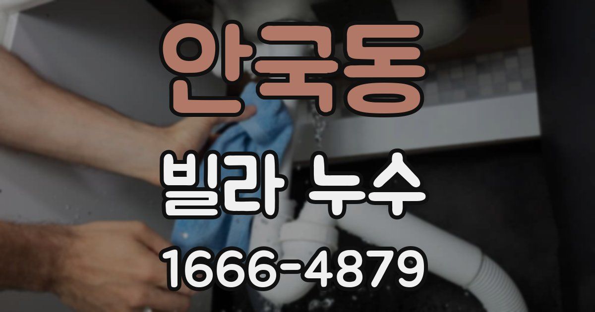 안국동 빌라 누수