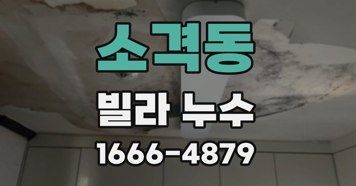 소격동 빌라 누수
