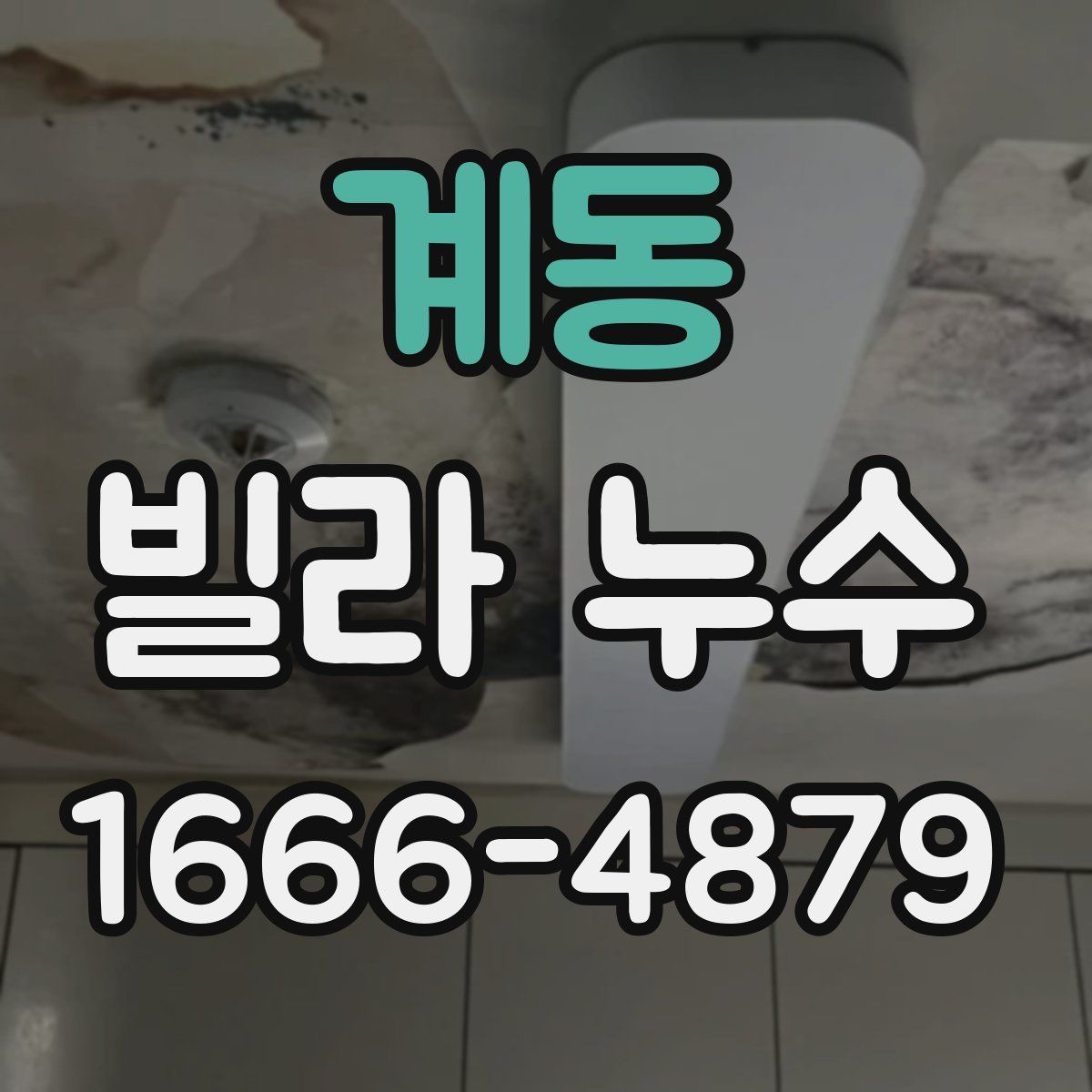 계동 빌라 누수