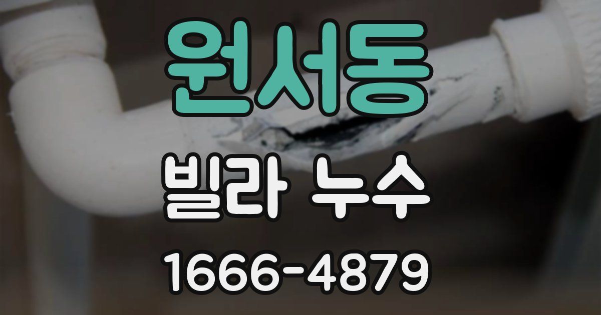 원서동 빌라 누수