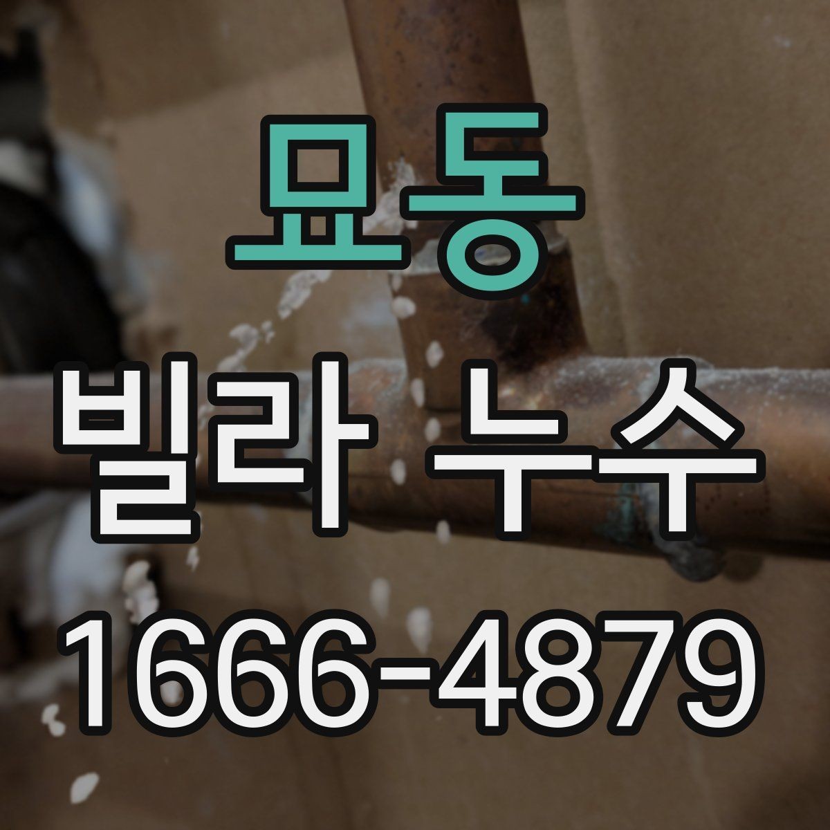 묘동 빌라 누수 오래된 건물에서 자주 생기는 이유