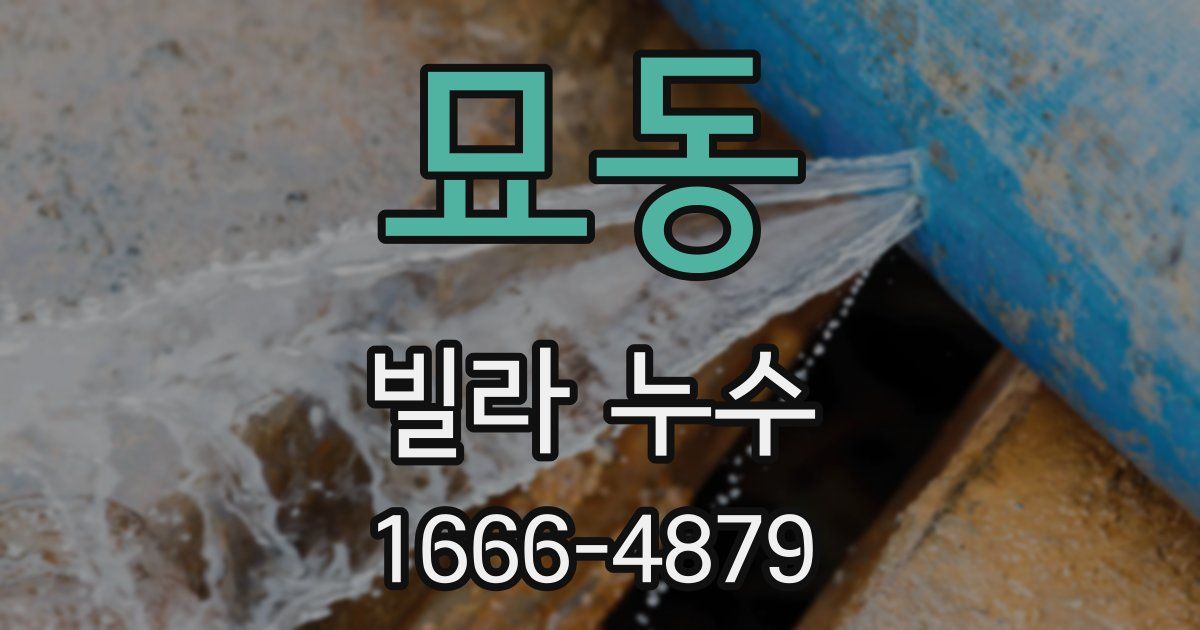묘동 빌라 누수