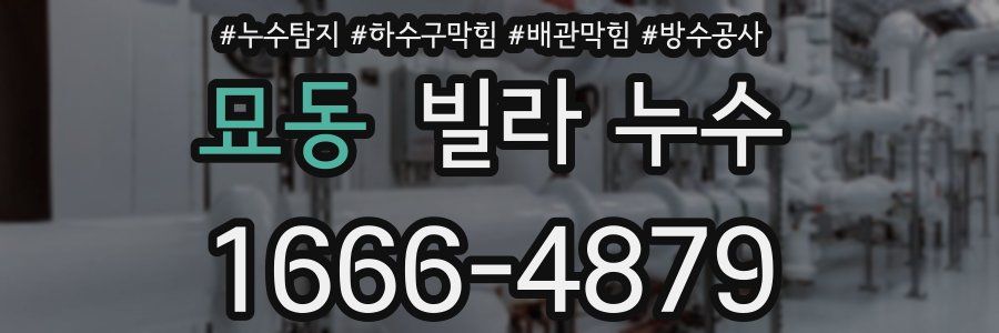 묘동 빌라 누수